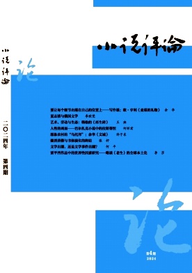 小说评论封面